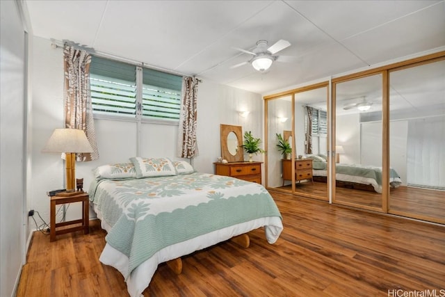 bedroom with multiple closets, a ceiling fan, and wood finished floors