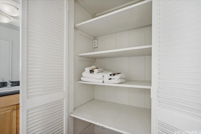 closet featuring a sink