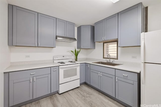 kitchen with gray cabinets, light wood-style floors, a sink, white appliances, and under cabinet range hood