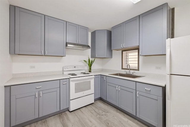 kitchen featuring a sink, white appliances, light wood-style floors, under cabinet range hood, and gray cabinets