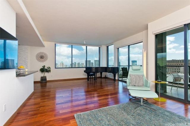 living area featuring baseboards, wood finished floors, and a city view