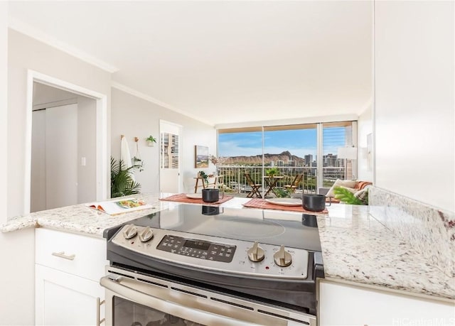 kitchen featuring ornamental molding, light stone countertops, white cabinetry, and stainless steel electric stove