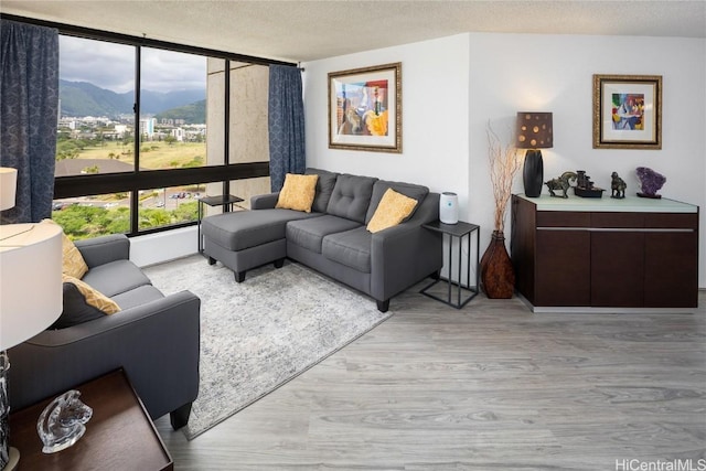 living area featuring light wood-type flooring, a mountain view, and a textured ceiling