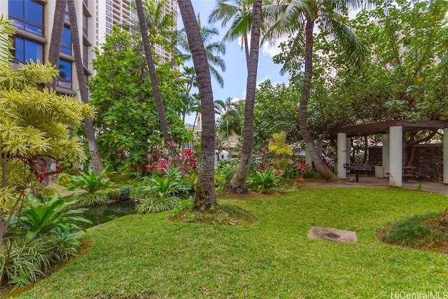 view of yard featuring a patio