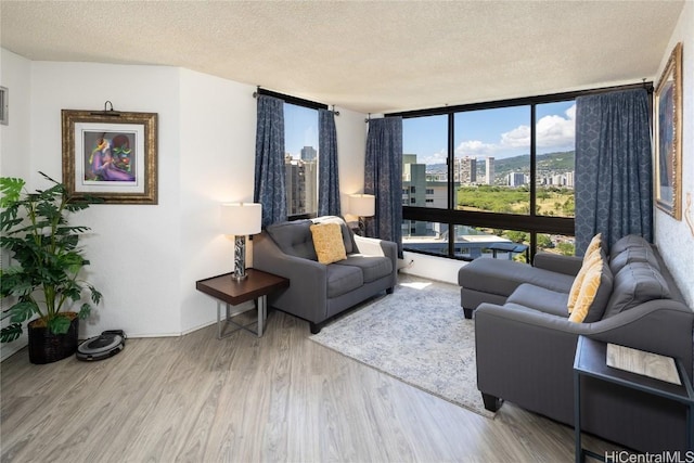 living area with a view of city, a textured ceiling, and wood finished floors