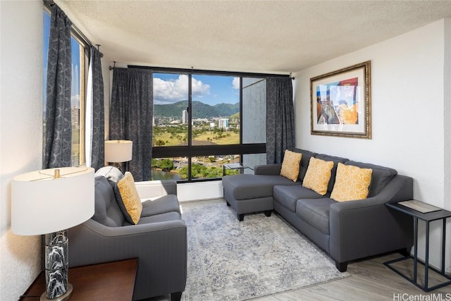 living area featuring a textured ceiling, a mountain view, and wood finished floors