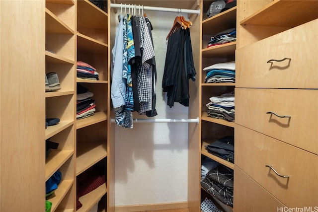 view of walk in closet