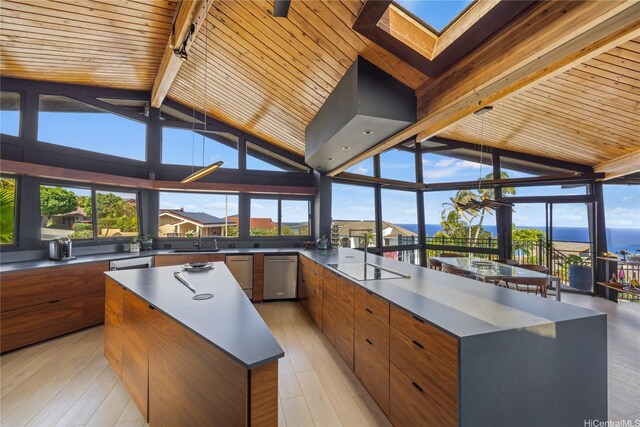 1826 Laukahi St, Honolulu, HI 96821 - sunroom with rail lighting and a skylight