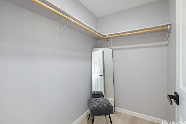 spacious closet featuring light wood-type flooring