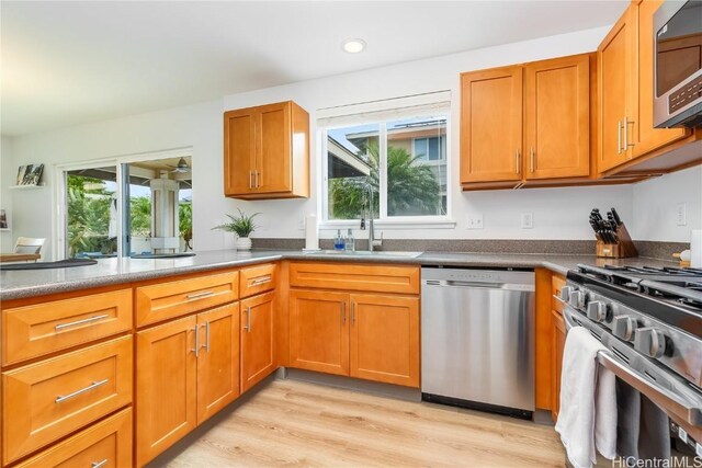 kitchen with light wood finished floors, a healthy amount of sunlight, appliances with stainless steel finishes, and a sink