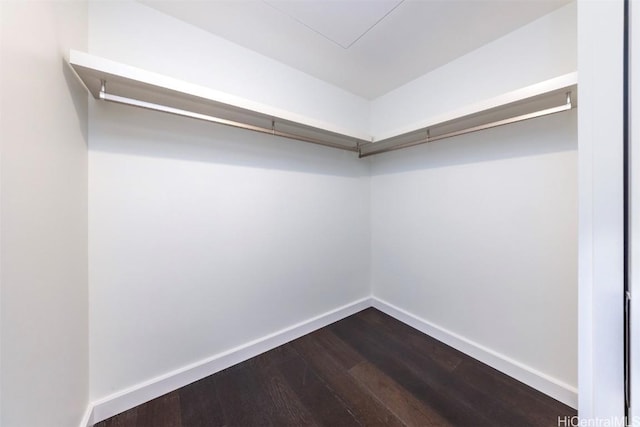 spacious closet featuring dark wood-style flooring