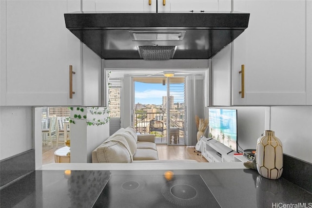 kitchen with white cabinetry and under cabinet range hood