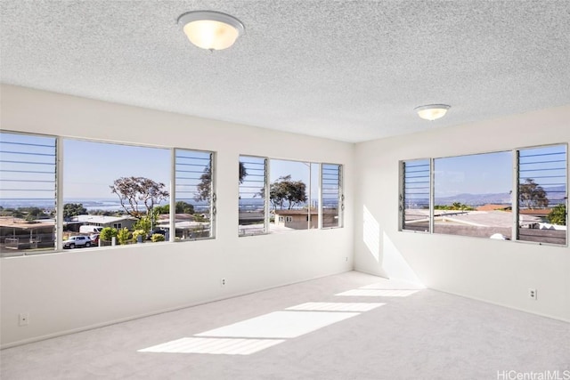 carpeted empty room with a textured ceiling and plenty of natural light