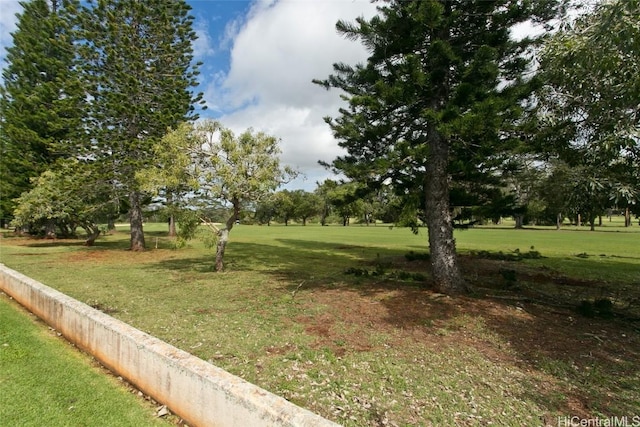 view of yard