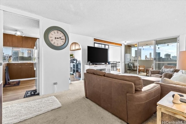 living room featuring plenty of natural light, a textured ceiling, and light carpet