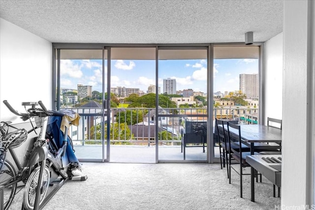 interior space featuring a view of city, a wall of windows, and carpet