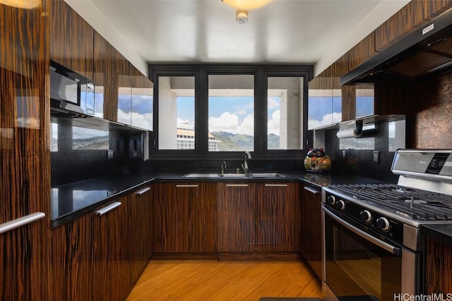 kitchen with dark countertops, appliances with stainless steel finishes, ventilation hood, dark brown cabinets, and a sink