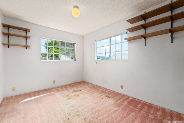 spare room with carpet flooring and a textured ceiling