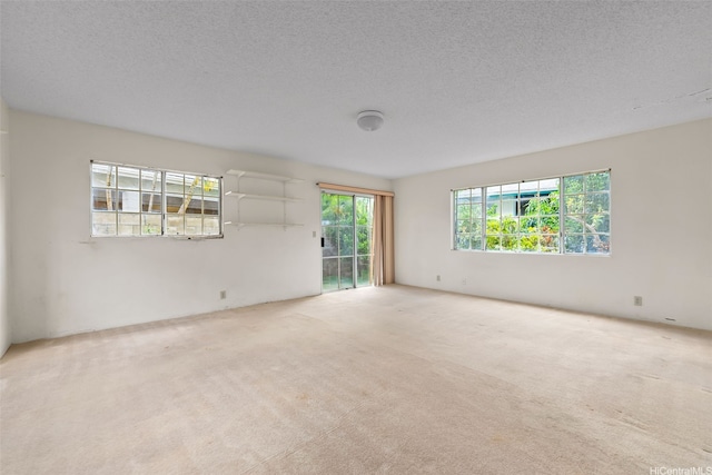 empty room with carpet and a textured ceiling