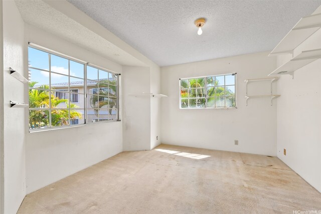 spare room featuring carpet, healthy amount of natural light, and a textured ceiling