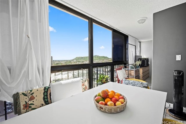 dining room featuring expansive windows and a textured ceiling