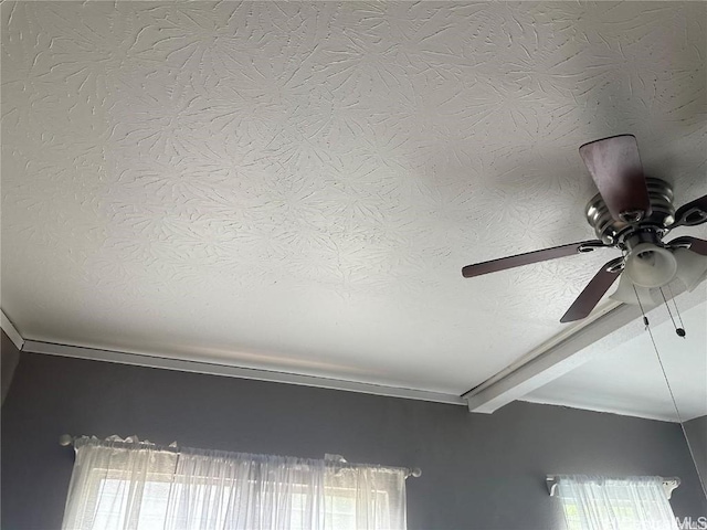 room details with a textured ceiling and beamed ceiling