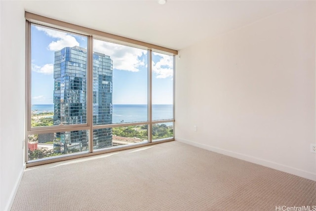 unfurnished room featuring a wealth of natural light, baseboards, a wall of windows, and carpet flooring