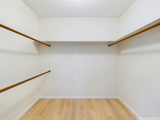 walk in closet featuring wood finished floors