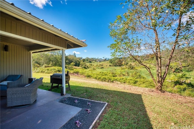 view of yard with a patio area