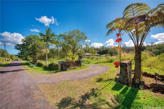 view of home's community featuring gravel driveway