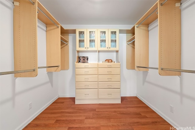 spacious closet featuring wood finished floors