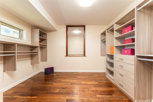spacious closet with wood finished floors