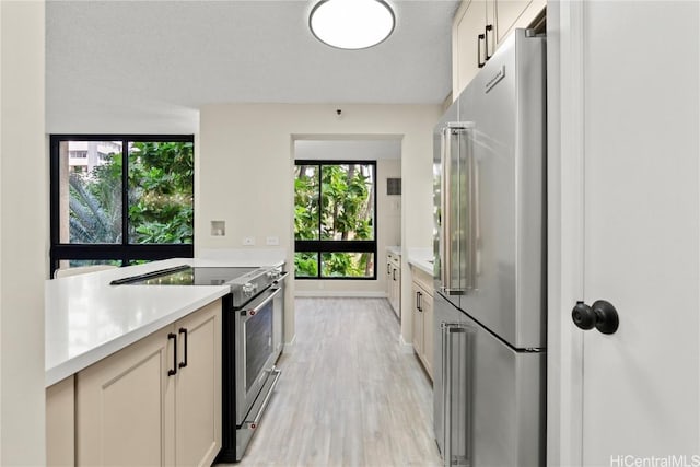 kitchen featuring light wood-style floors, plenty of natural light, appliances with stainless steel finishes, and light countertops