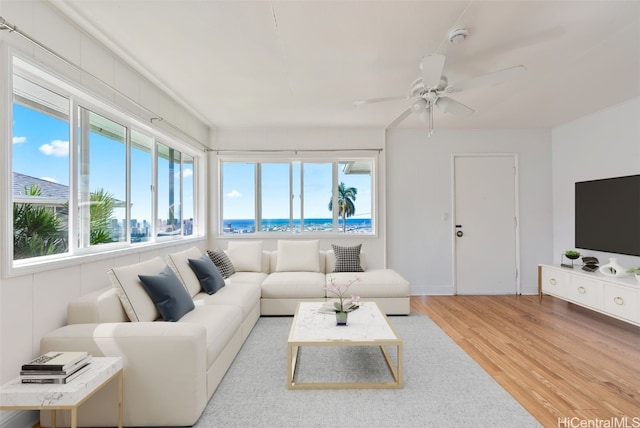 living room with a healthy amount of sunlight, ceiling fan, and wood finished floors