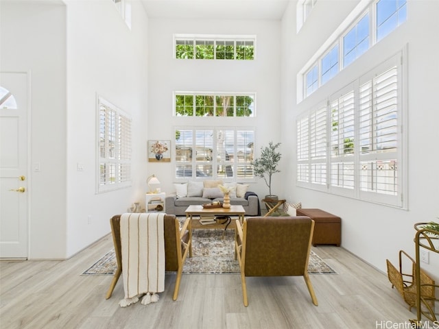 interior space featuring a high ceiling and wood finished floors