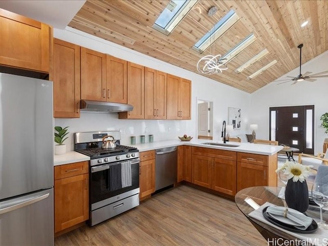 kitchen featuring under cabinet range hood, appliances with stainless steel finishes, a skylight, a peninsula, and a sink