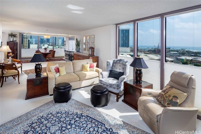 living area featuring carpet and a textured ceiling