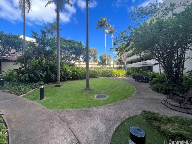 view of property's community with a patio area and a lawn