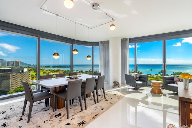 sunroom with a water view, a healthy amount of sunlight, and rail lighting