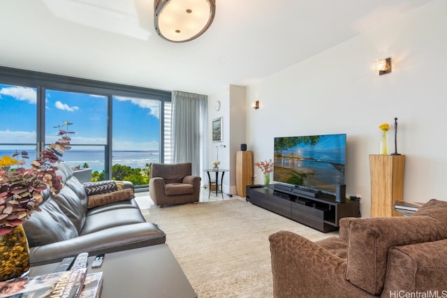 living room featuring carpet floors and expansive windows