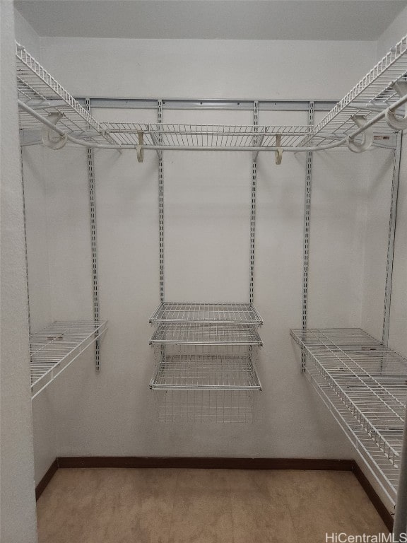 view of spacious closet