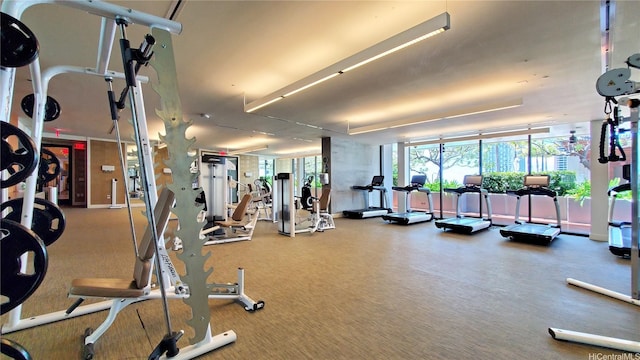gym featuring a wall of windows