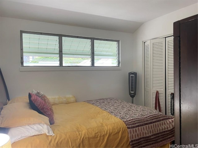 bedroom with vaulted ceiling and a closet