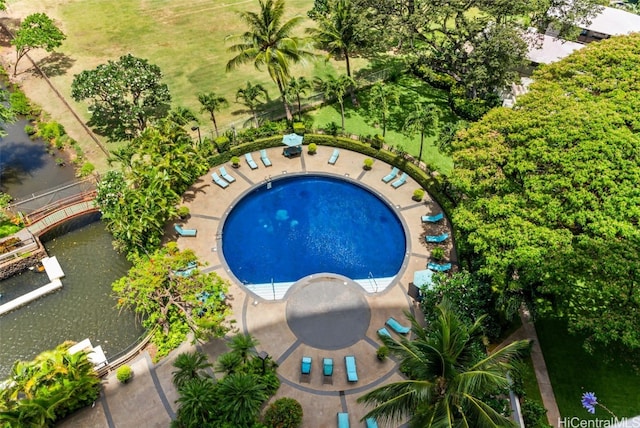 view of swimming pool