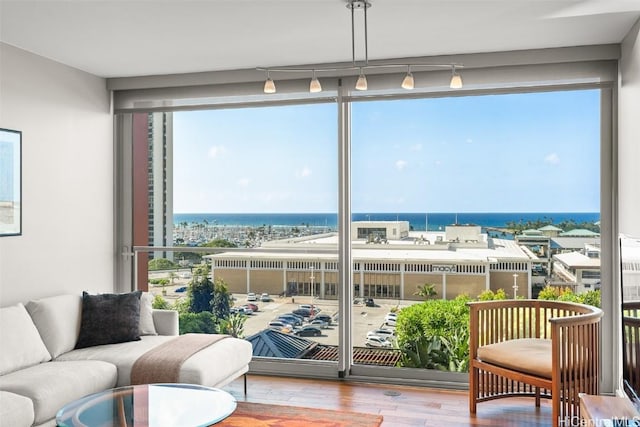 sunroom with a water view and rail lighting