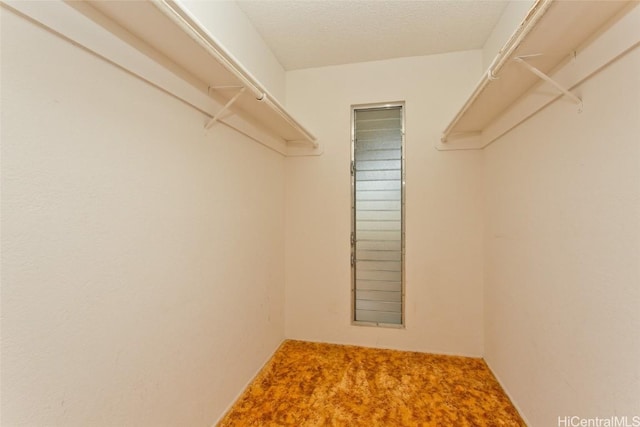 spacious closet with carpet floors