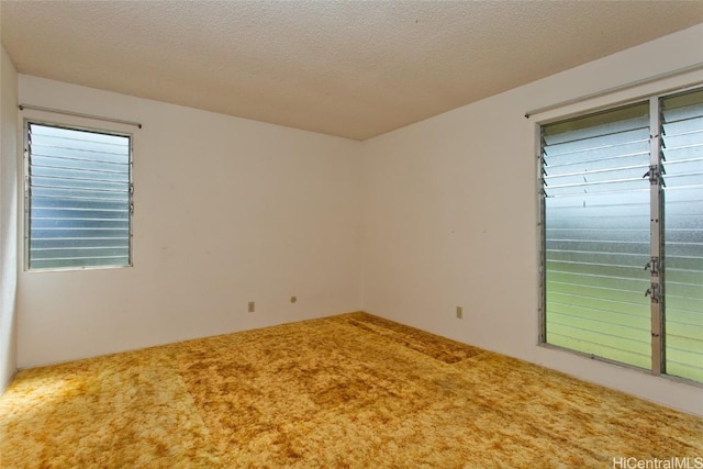 carpeted spare room featuring a textured ceiling