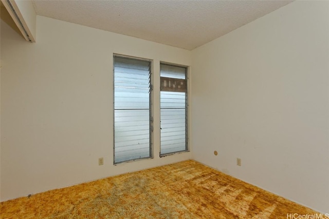 empty room featuring a textured ceiling and carpet flooring