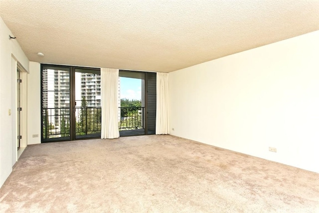 empty room featuring a wall of windows, carpet floors, and a textured ceiling