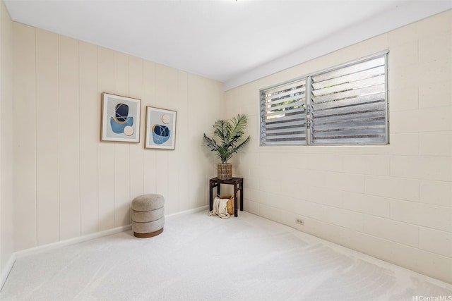 unfurnished room with carpet floors